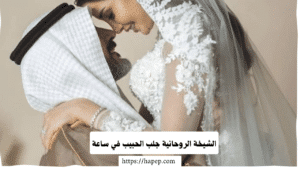 الشيخة الروحانية جلب الحبيب في ساعة