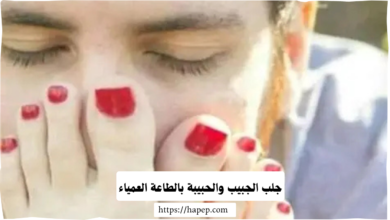 جلب الجبيب والحبيبة بالطاعة العمياء