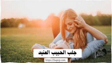 جلب الحبيب العنيد