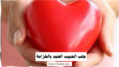 جلب الحبيب العنيد بالخزامة