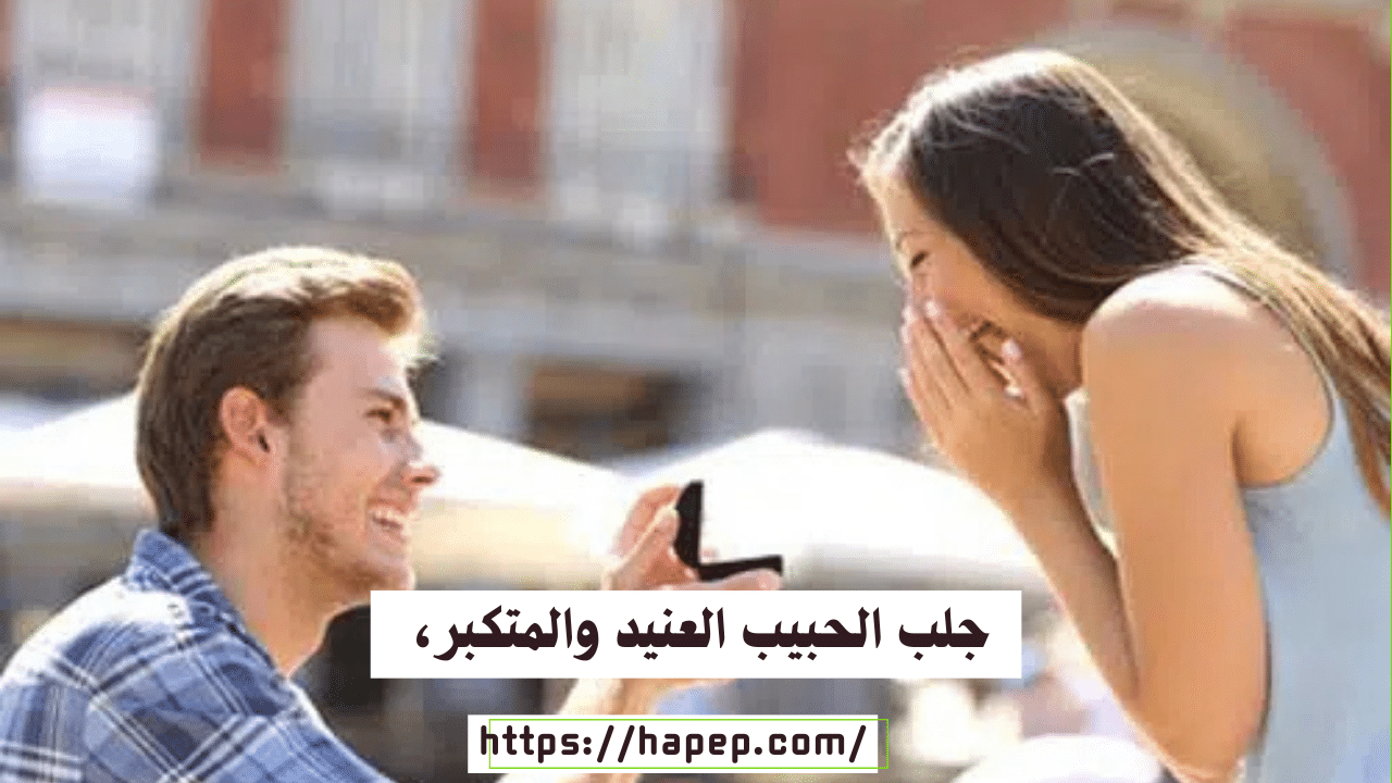 جلب الحبيب العنيد والمتكبر، 