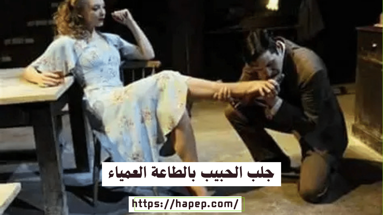 جلب الحبيب بالطاعة العمياء