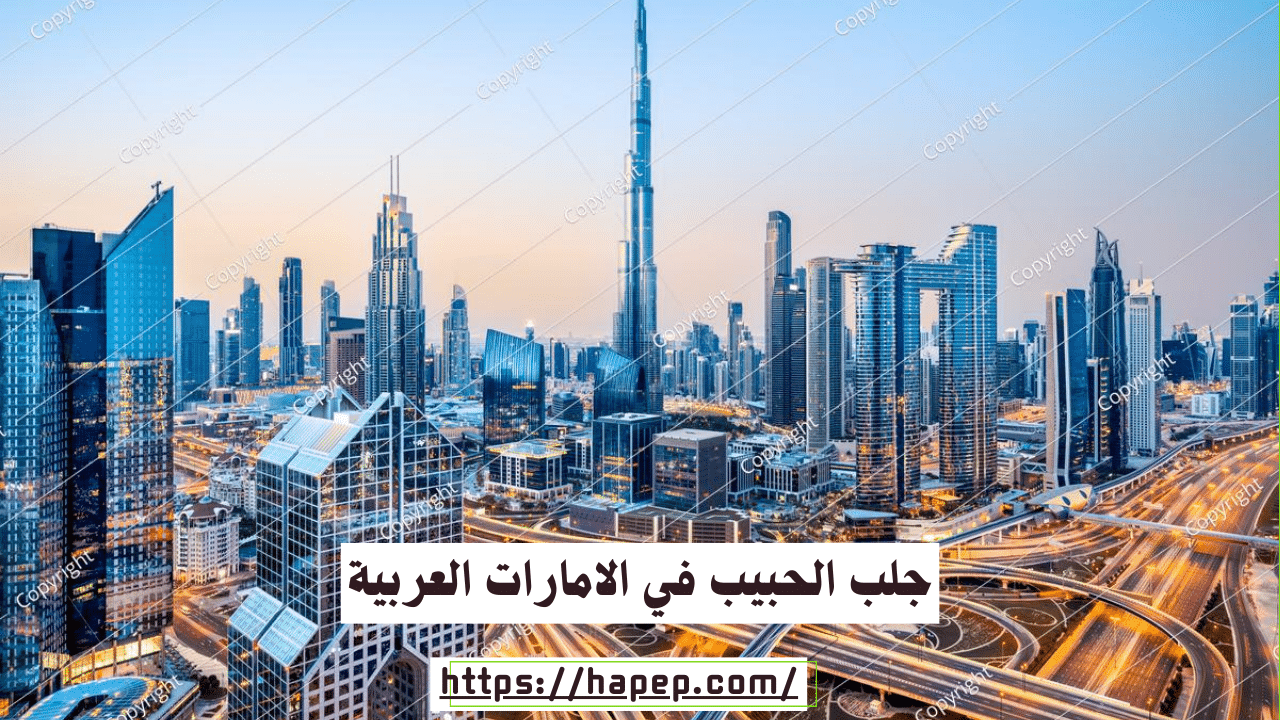 جلب الحبيب في الامارات العربية