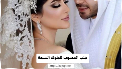  جلب المحبوب للملوك السبعة، 