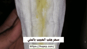 سحرجلب الحبيب بالمني