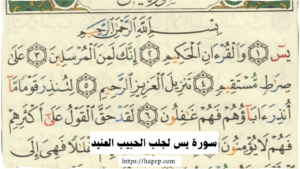 سورة يس لجلب الحبيب العنيد