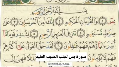 سورة يس لجلب الحبيب العنيد