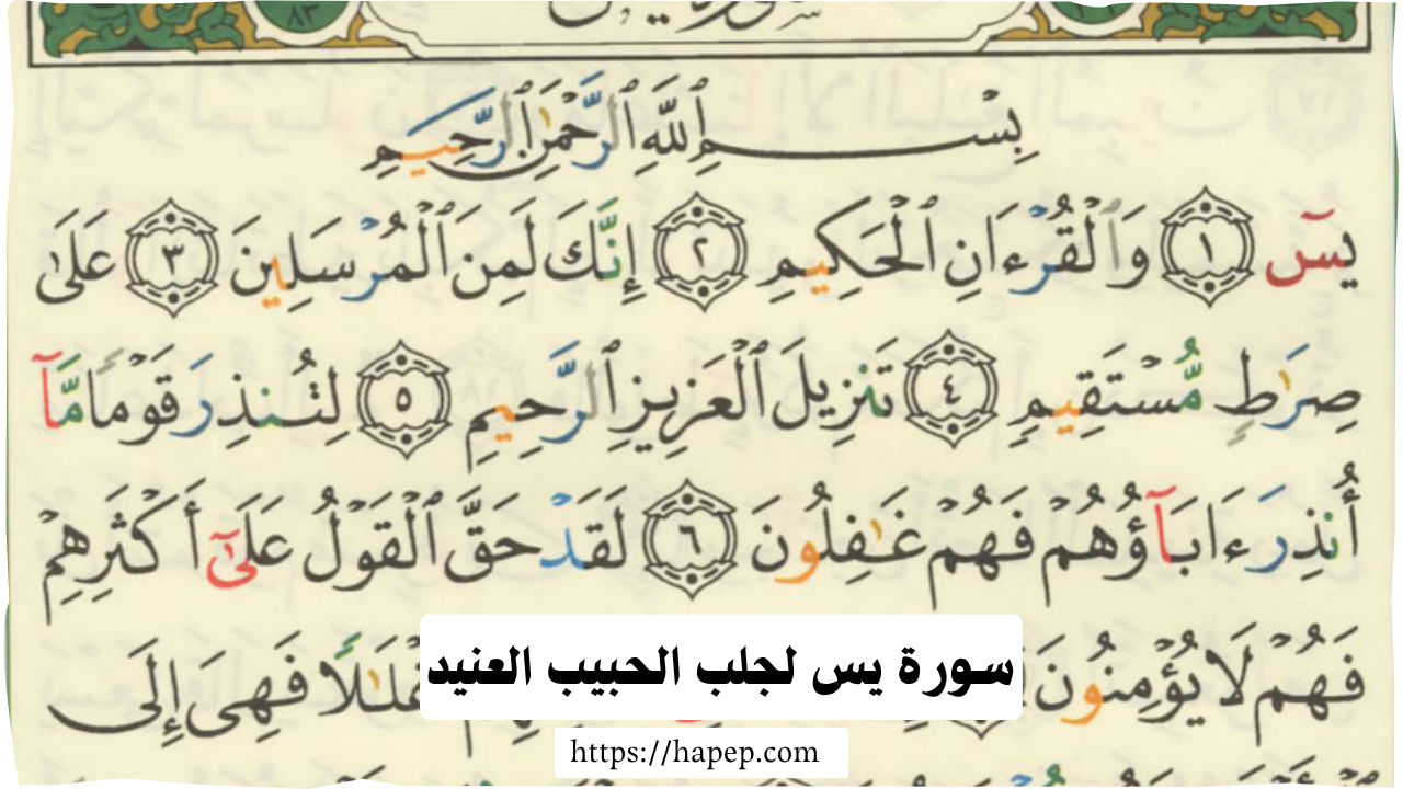سورة يس لجلب الحبيب العنيد