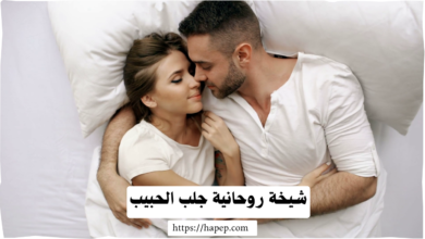 شيخة روحانية جلب الحبيب