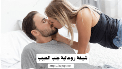 شيخة روحانية جلب الحبيب