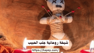 شيخة روحانية جلب الحبيب