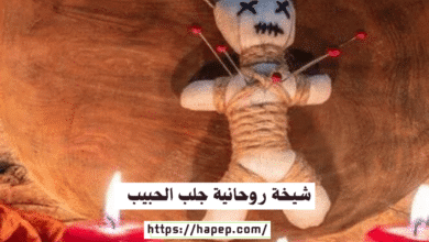 شيخة روحانية جلب الحبيب