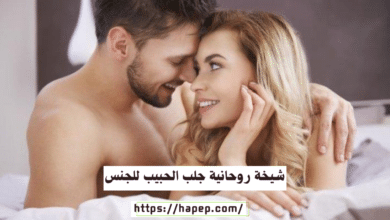 شيخة روحانية جلب الحبيب للجنس