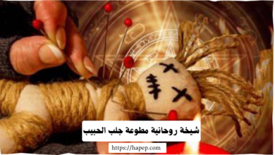 شيخة روحانية مطوعة جلب الحبيب