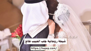 شيخة روحانية جلب الحبيب طائع