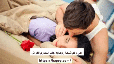 ابغى رقم شيخة روحانية جلب المحارم للفراش