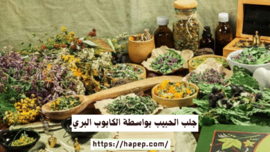 جلب الحبيب بواسطة الكابوب البري