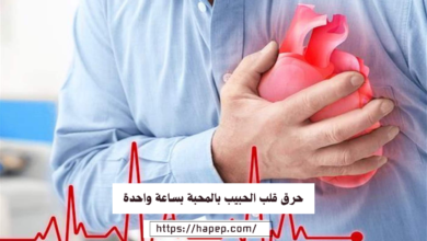 حرق قلب الحبيب بالمحبة بساعة واحدة