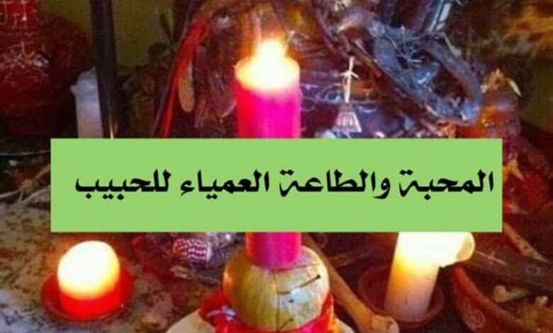 المحبة والطاعة العمياء للحبيب