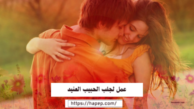 عمل لجلب الحبيب العنيد