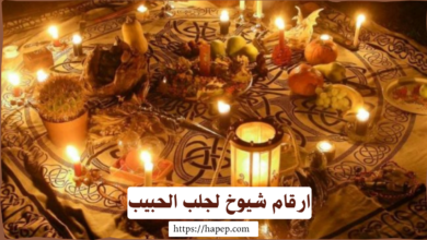 ارقام شيوخ لجلب الحبيب